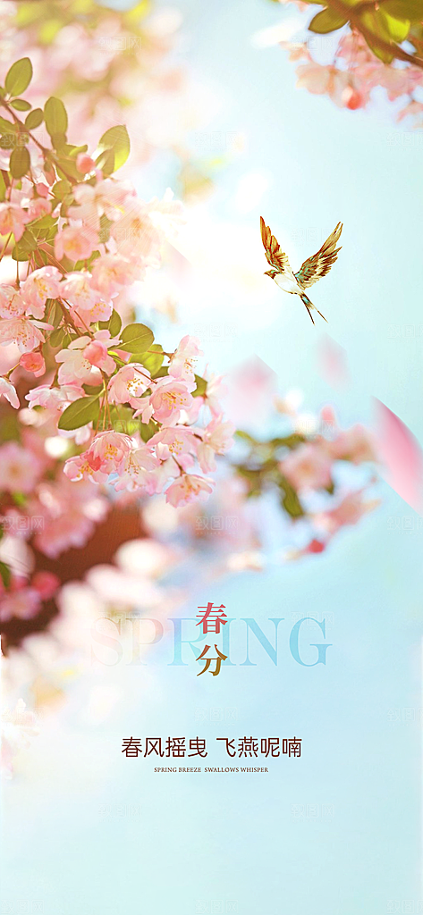 中国传统节气春分手机海报