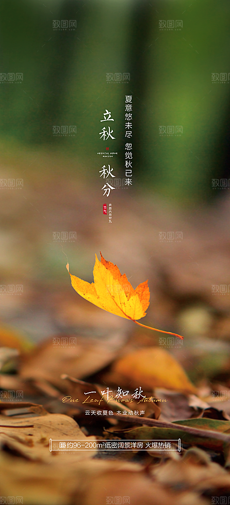 中国传统节气秋分手机海报