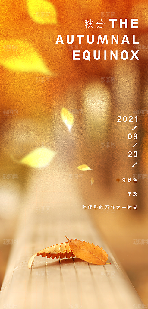 中国传统节气秋分手机海报