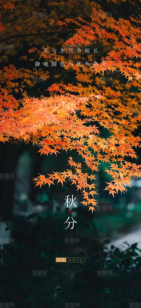 中国传统节气秋分手机海报