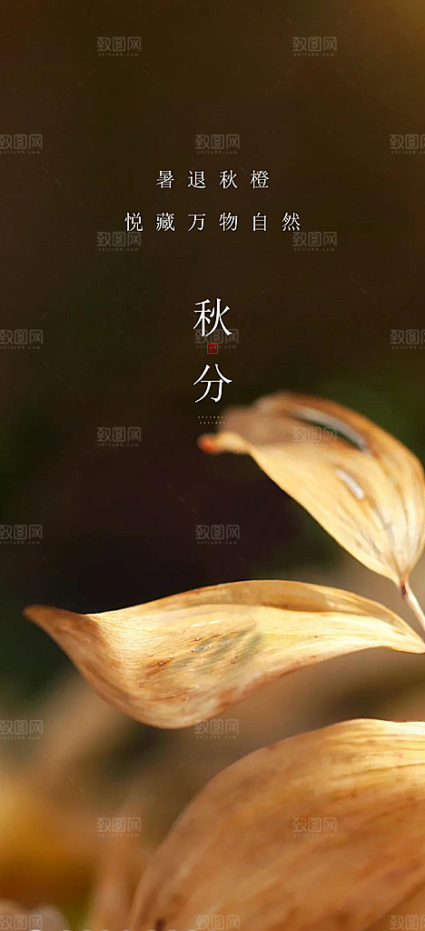 中国传统节气秋分手机海报