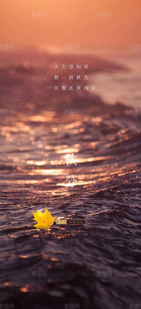 中国传统节气秋分手机海报