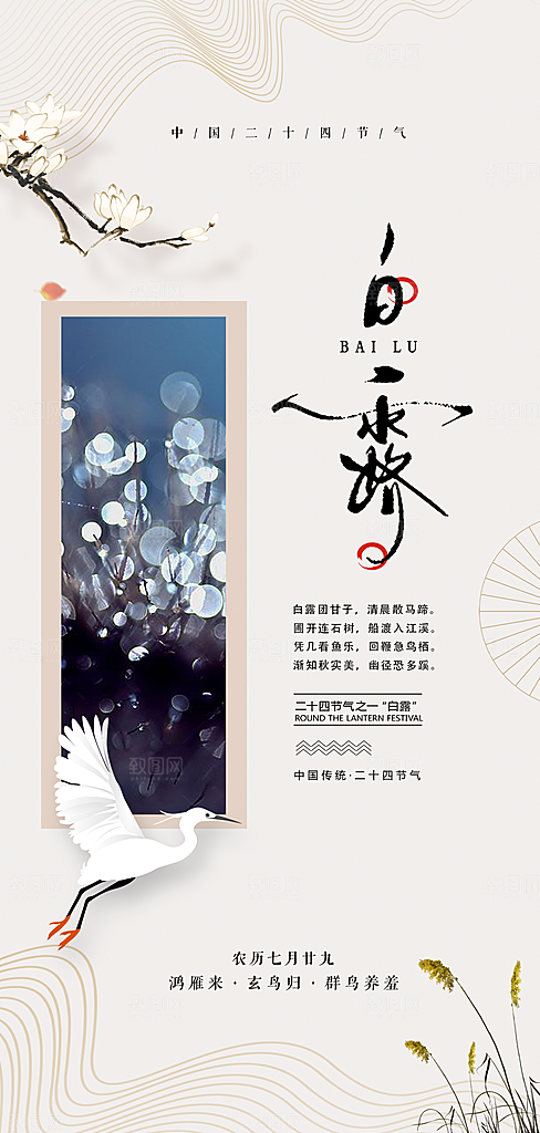 中国传统节气白露海报