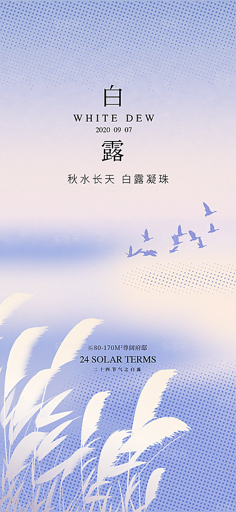 中国传统节气白露海报