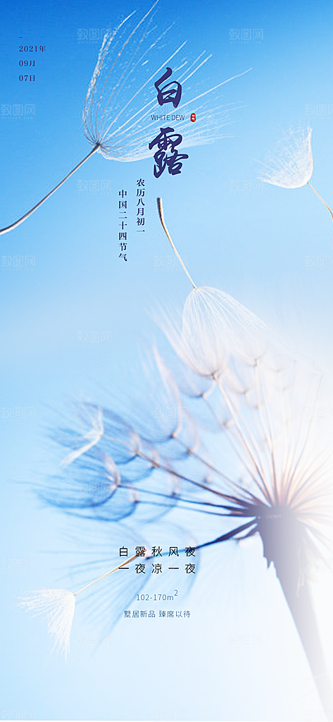 中国传统节气白露海报
