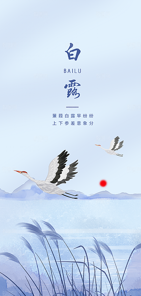 中国传统节气白露海报
