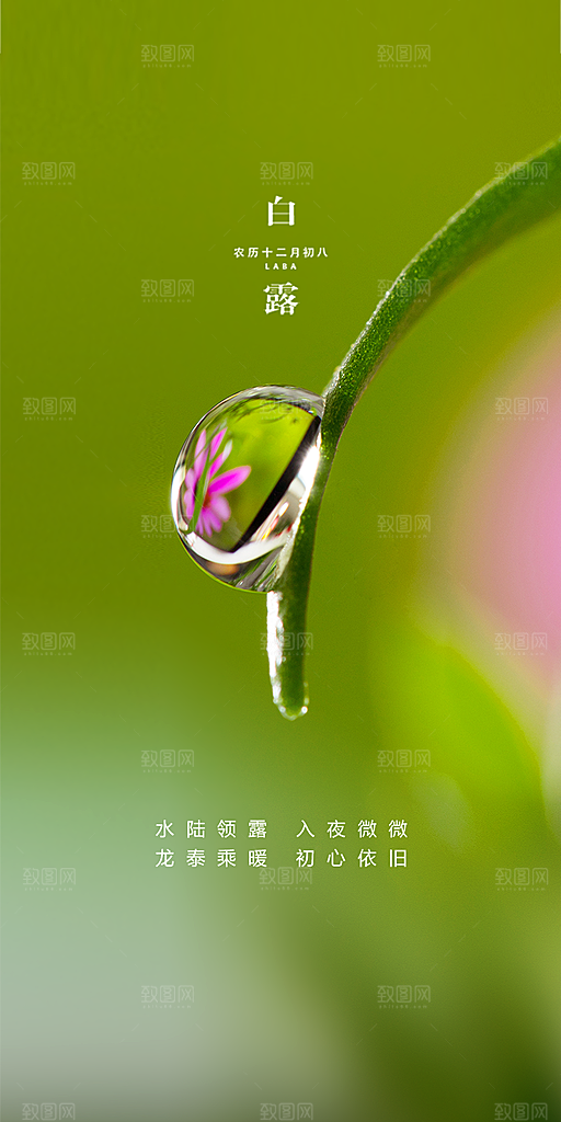 中国传统节气白露海报