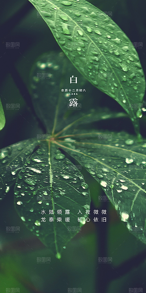 中国传统节气白露海报