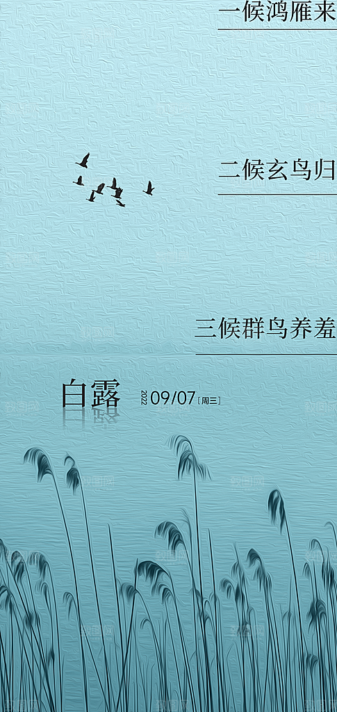 中国传统节气白露海报