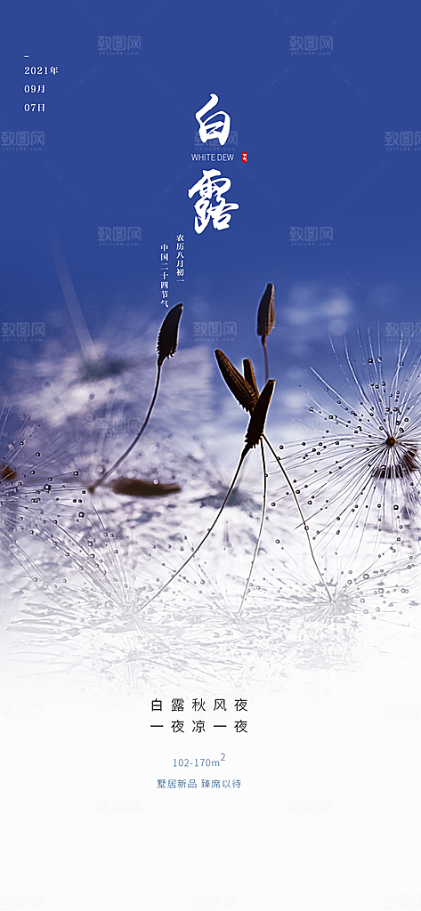 中国传统节气白露海报