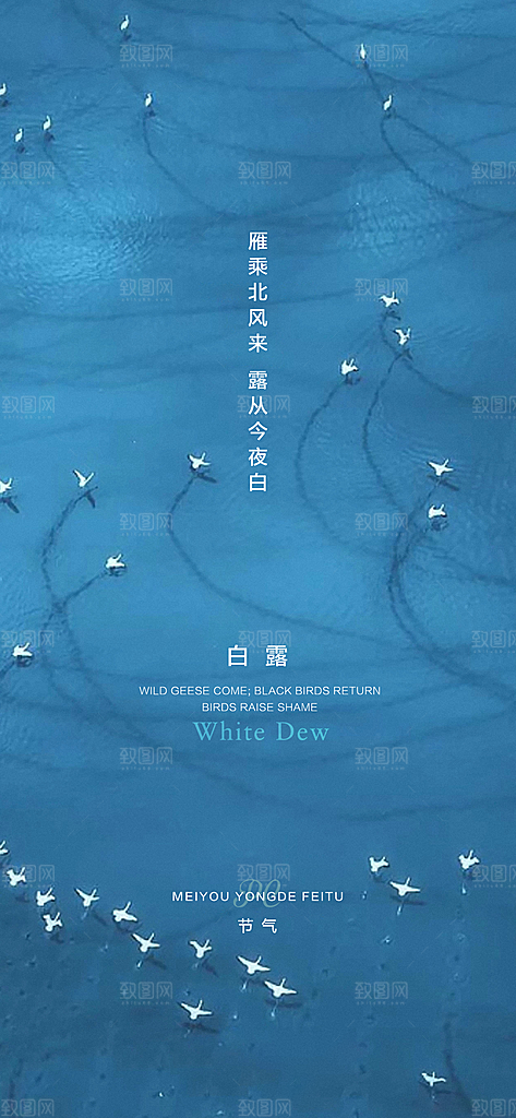 中国传统节气白露海报