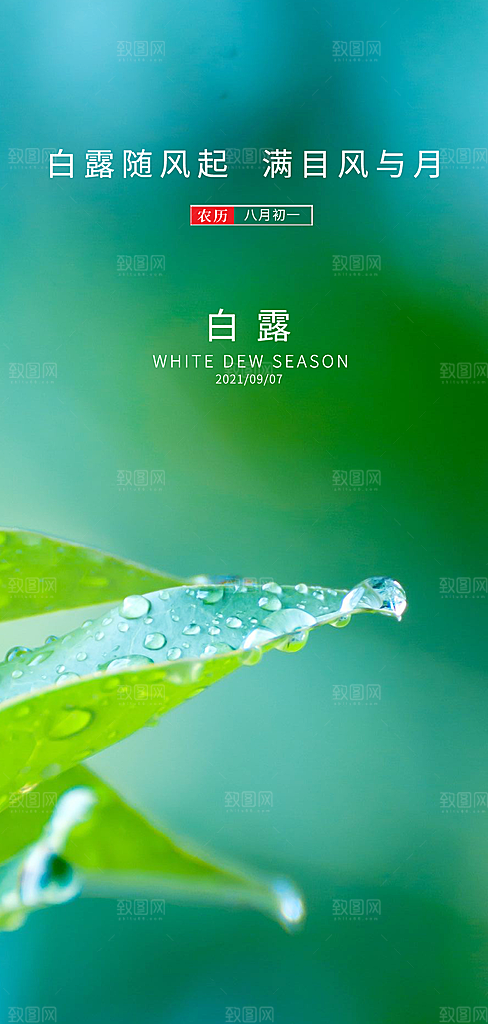 中国传统节气白露海报