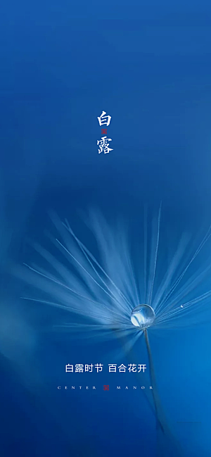 中国传统节气白露海报
