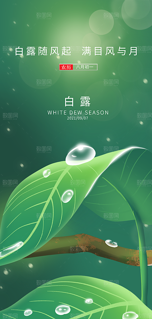 中国传统节气白露海报