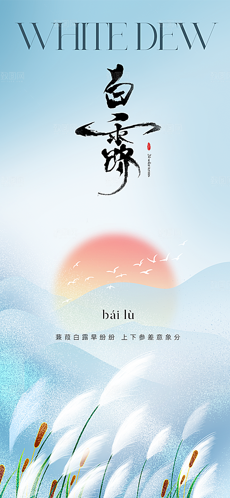中国传统节气白露海报