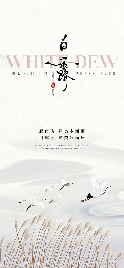 中国传统节气白露海报