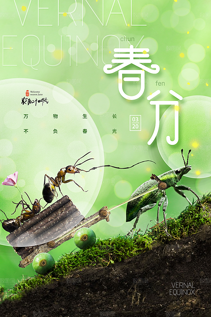 中国传统节气春分海报