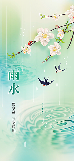 地产雨水节气简约大气海报