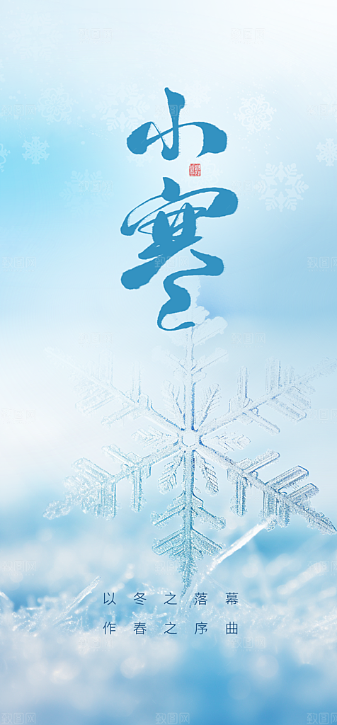 地产小寒大寒简约大气海报