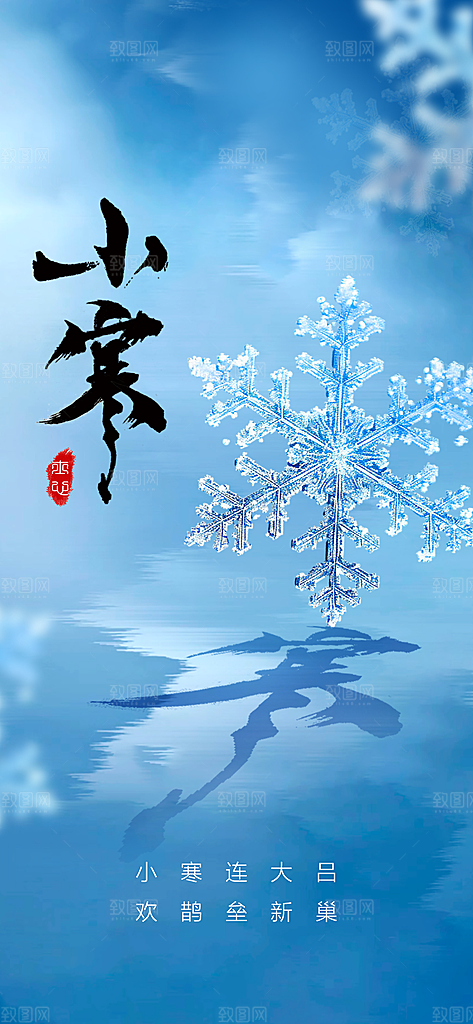 地产小寒大寒简约大气海报