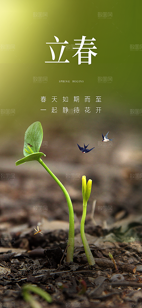地产立春节气简约大气海报