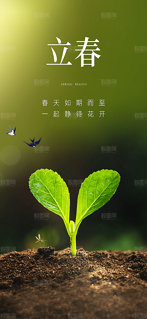 地产立春节气简约大气海报