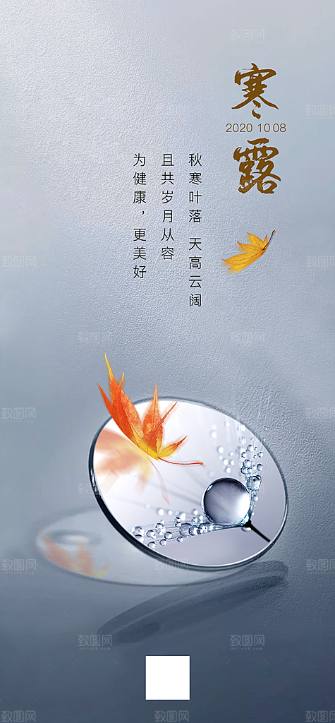 中国传统节气寒露手机海报