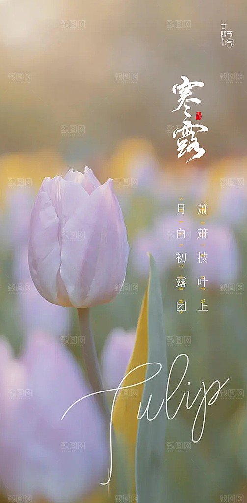 中国传统节气寒露手机海报