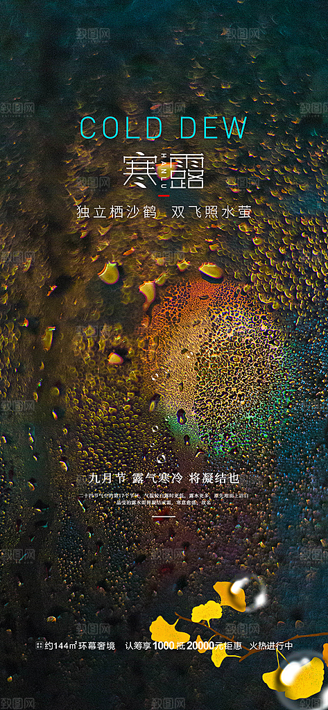 中国传统节气寒露手机海报