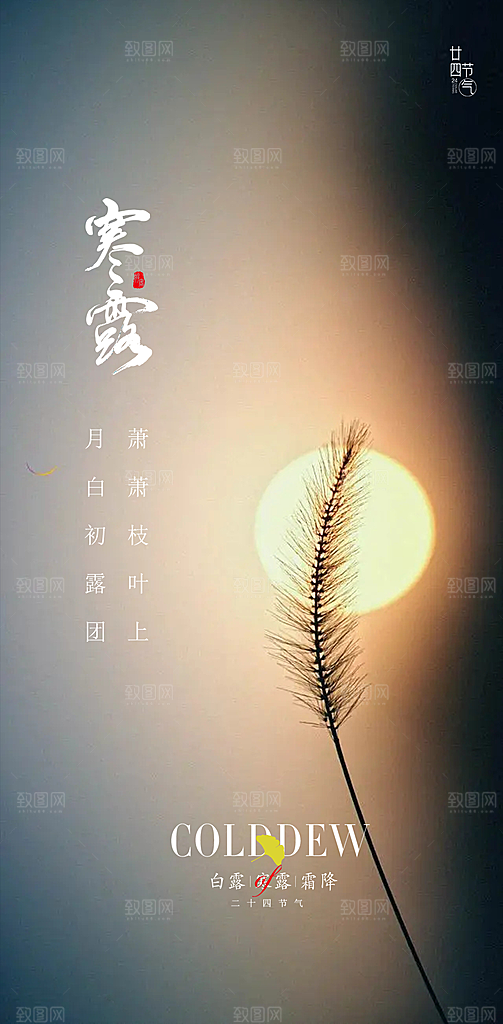 中国传统节气寒露手机海报