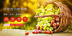 水果葡萄促销海报
