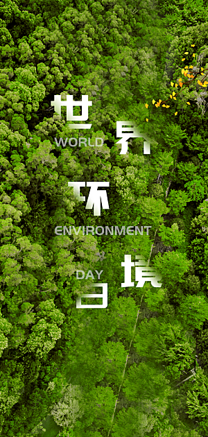 世界环境日公益手机海报