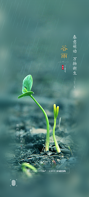 中国传统节气谷雨手机海报