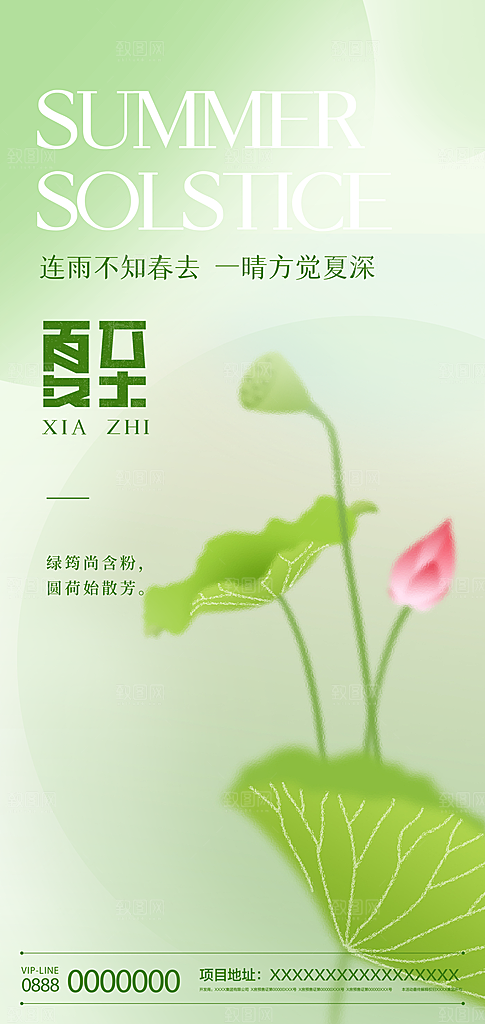 中国传统节气夏至手机海报