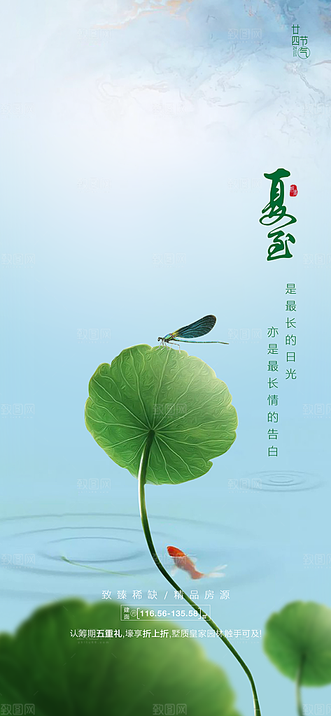 中国传统节气夏至手机海报