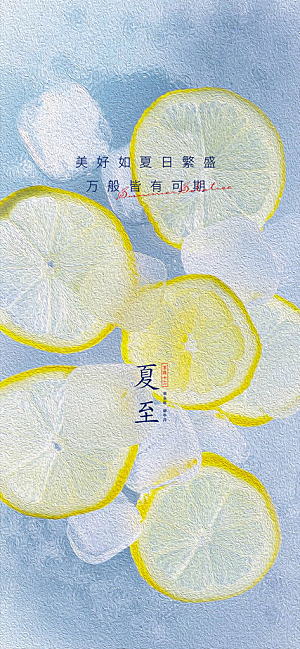 中国传统节气夏至手机海报