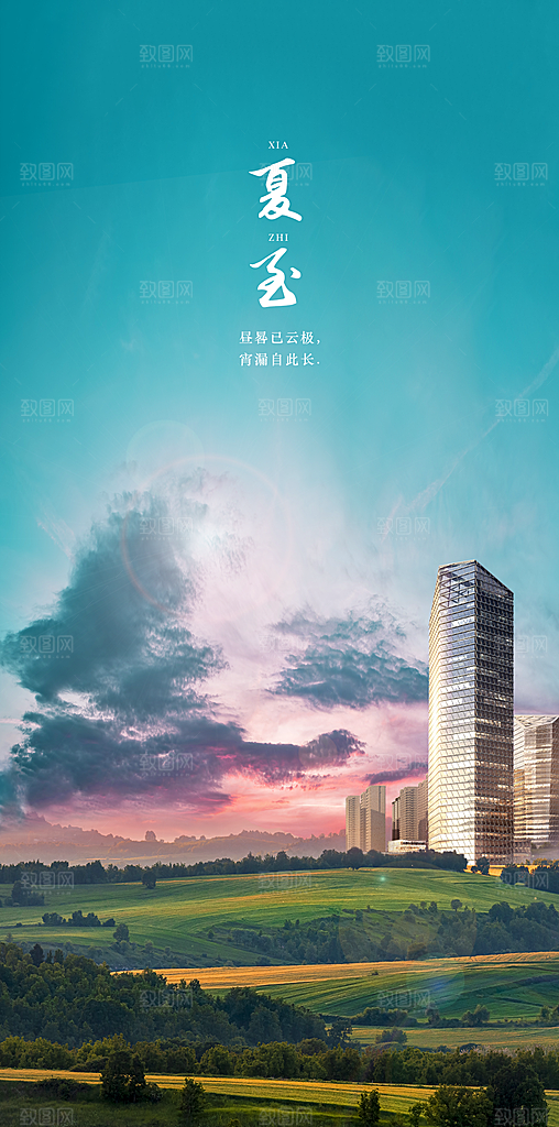 中国传统节气夏至手机海报