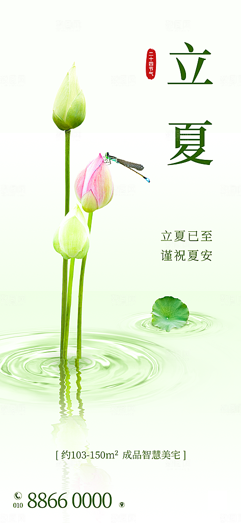 中国传统节气立夏手机海报