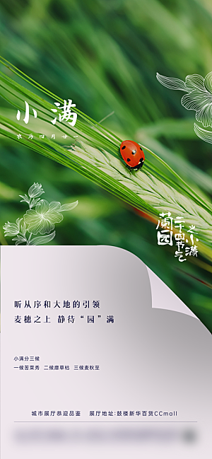中国传统节气小满手机海报