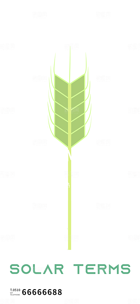 中国传统节气小满手机海报