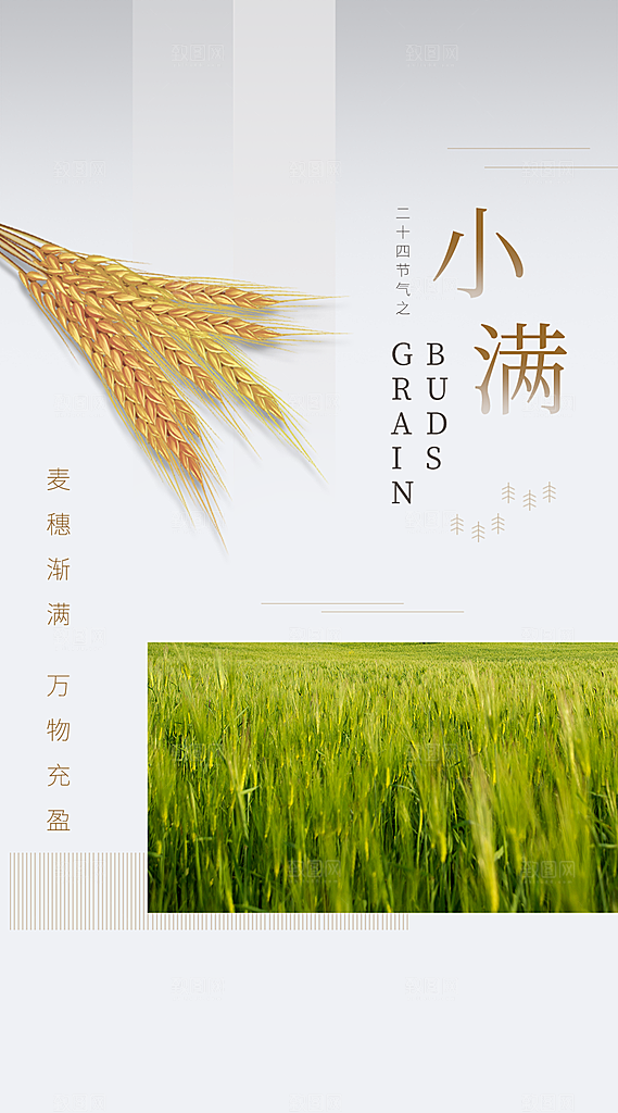 中国传统节气小满手机海报