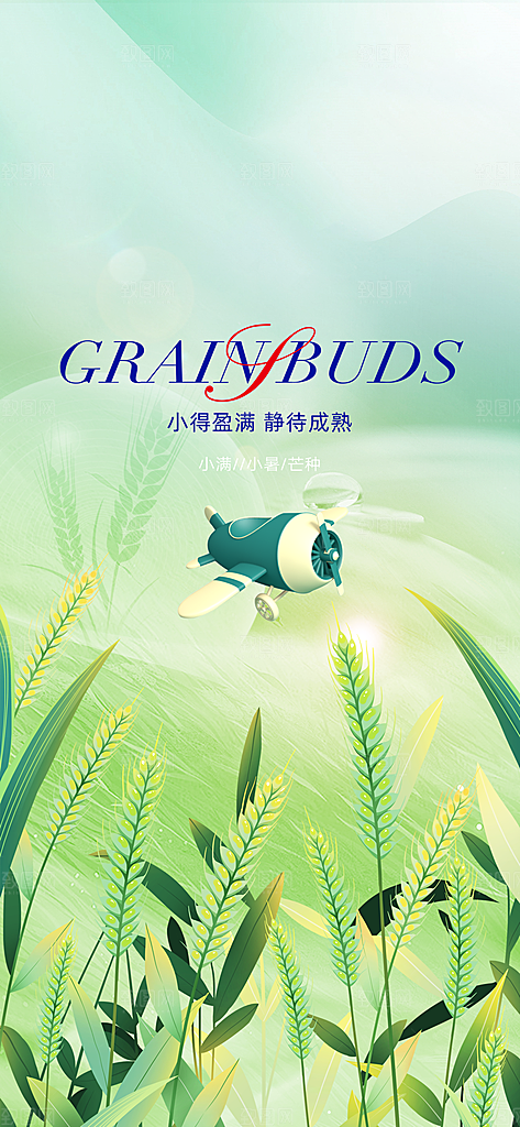 中国传统节气小满手机海报