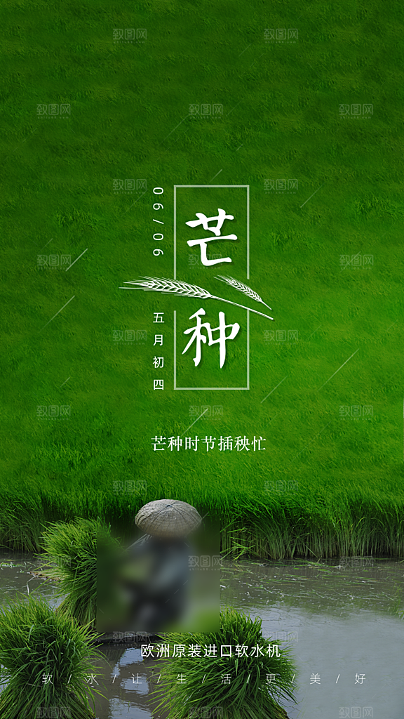 中国传统节气芒种手机海报