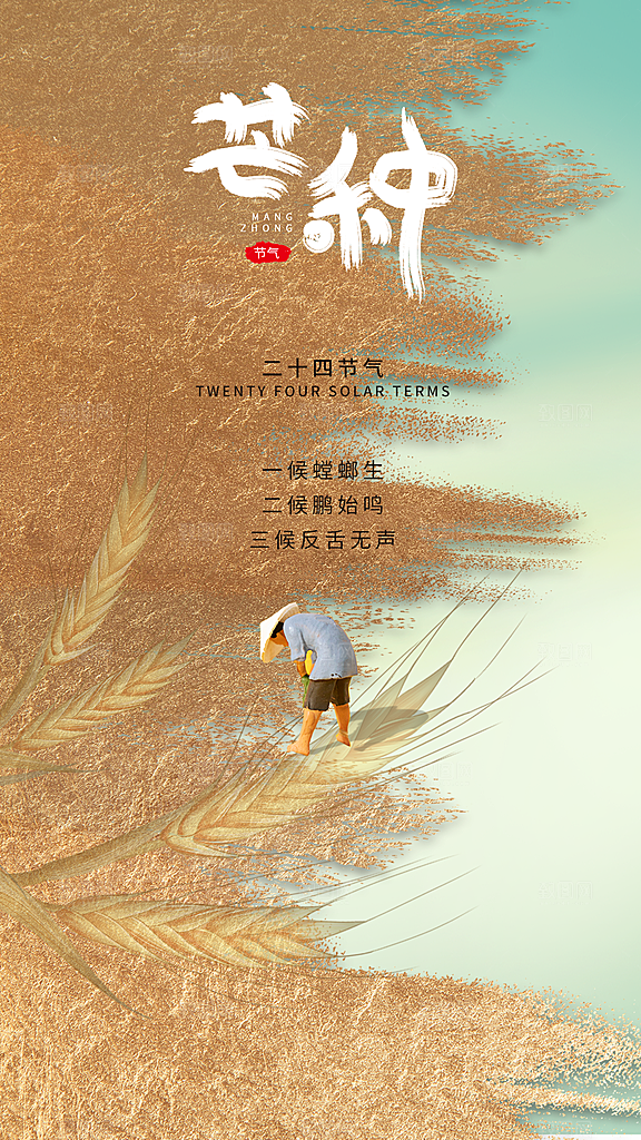 中国传统节气芒种手机海报