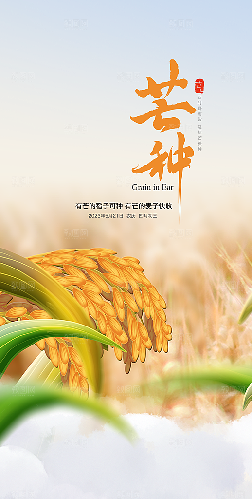 中国传统节气芒种手机海报