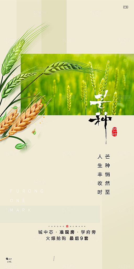 中国传统节气芒种手机海报