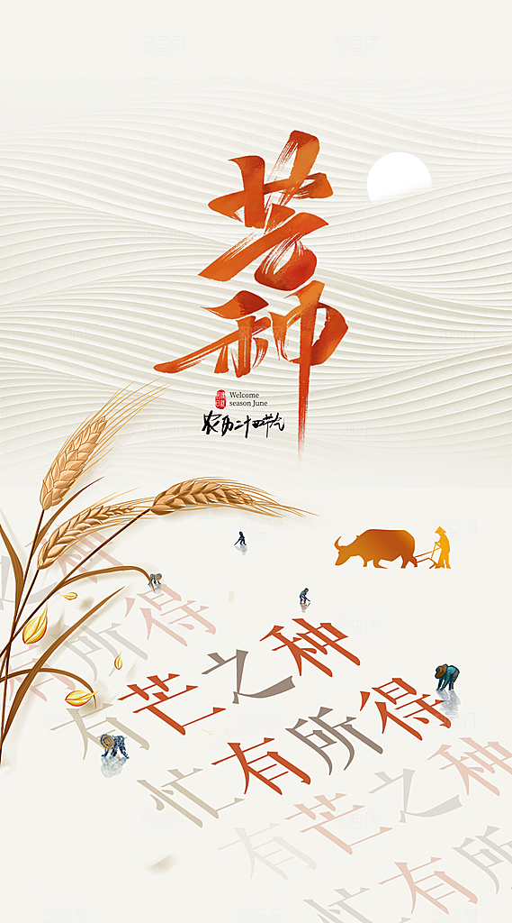 中国传统节气芒种手机海报