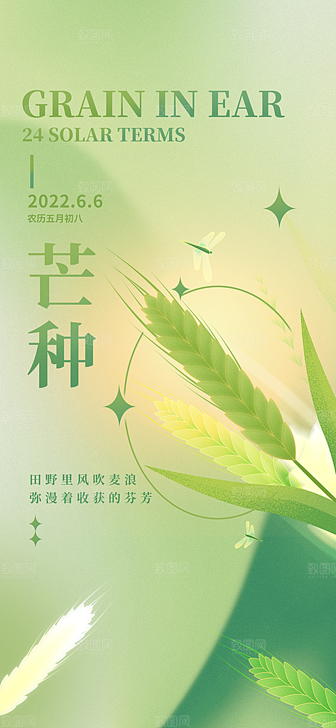 中国传统节气芒种手机海报
