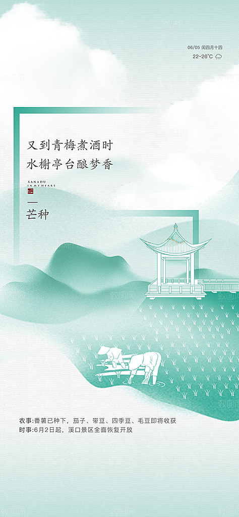 中国传统节气芒种手机海报