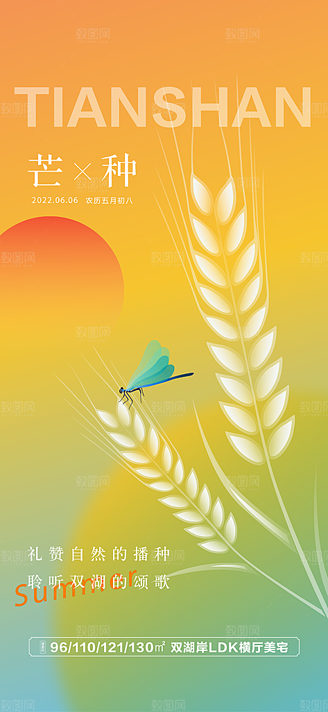 中国传统节气芒种手机海报